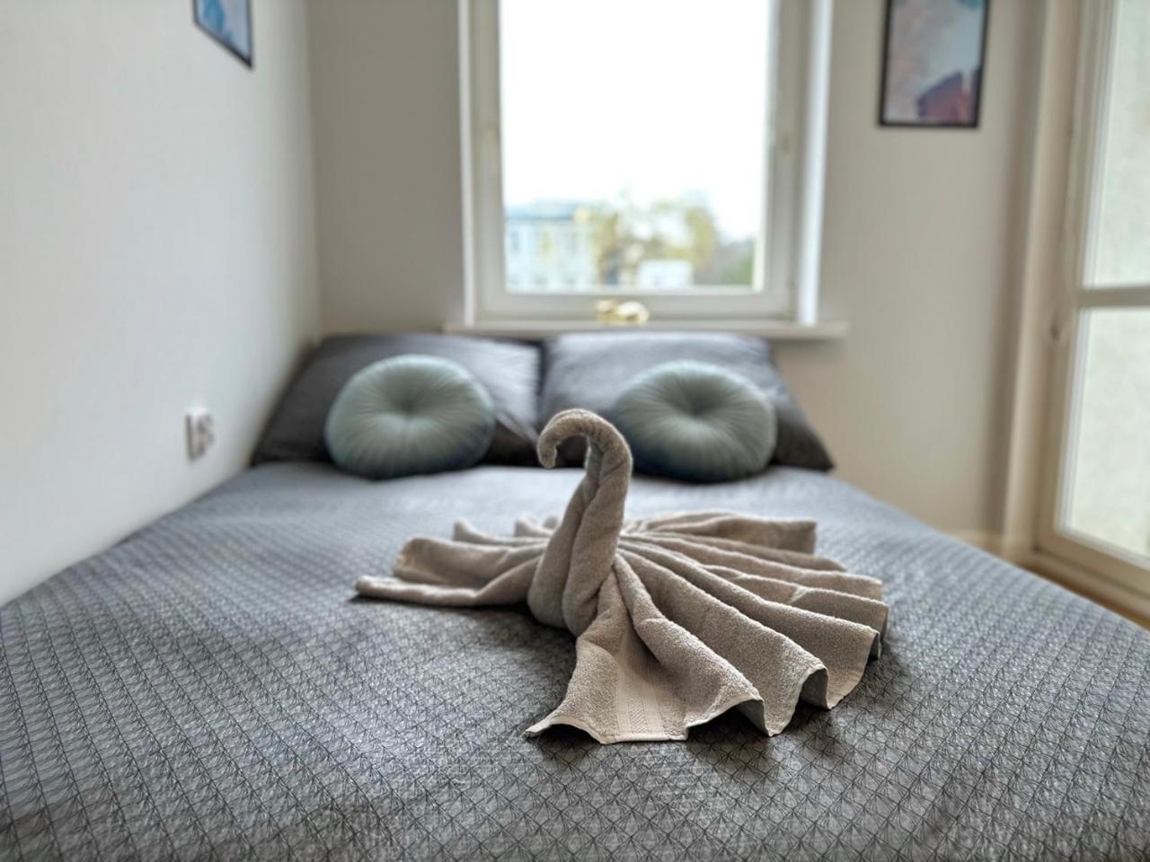 Privat overnatting Mmrent Pussycat *